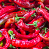 Jimmy Nardello Sweet Pepper Seeds | Rich Flavor, Thin Skin, High Yield, Adaptable for Frying & Drying