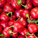 Jinjiao Hongtanzi Chili Pepper Seeds – Early-Maturing Upright Variety, Stable Yield, Rich Spicy Aroma