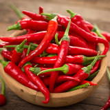 Cayenne Pepper Seeds | Cone-Shaped Red Pepper, High-Yield Spicy Chili Plant for Vegetable Garden & Containers