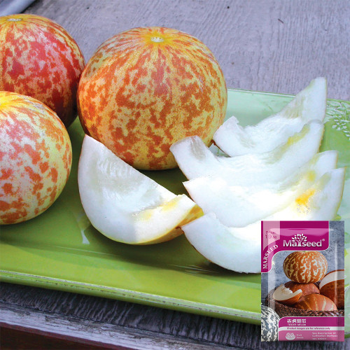 Tiger Melon Seeds, Sweet Fragrant High-Yield Striped Melon, Easy to Grow Ornamental Edible Garden Melon
