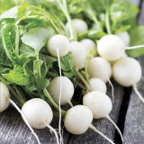 White Cherry Radish Hybrid Seeds – Fast Growing, Bolt Resistant, Crisp Flesh