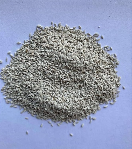 Coated Common Bermuda Grass Ornamental Lawn Seeds for Yard Garden Planting