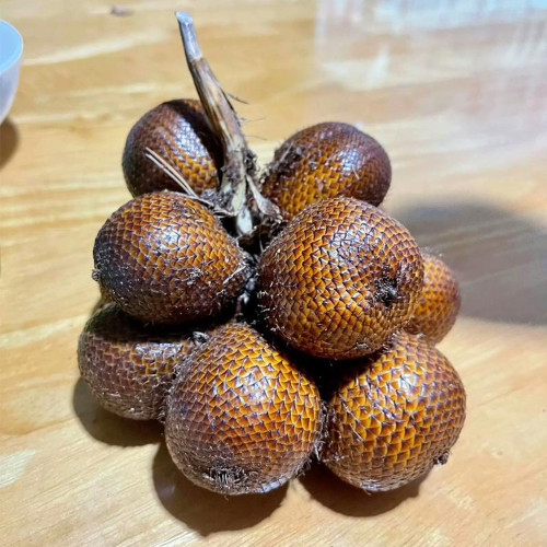 Salak Palm (Snake Fruit) Seeds | Salacca zalacca, Tropical Edible Fruit Palm Tree for Garden Planting