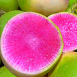 Xinlimei Radish Seeds | Raphanus sativus – Fresh-Eating, Purple Flesh, Crisp & Sweet