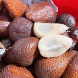 Salak Palm (Snake Fruit) Seeds | Salacca zalacca, Tropical Edible Fruit Palm Tree for Garden Planting