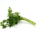 Italian Chervil Seeds - Anthriscus cerefolium, Fine Leaf Anise Flavor Culinary Herb, Western Cuisine Fine Parsley