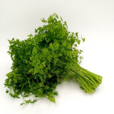 Italian Chervil Seeds - Anthriscus cerefolium, Fine Leaf Anise Flavor Culinary Herb, Western Cuisine Fine Parsley