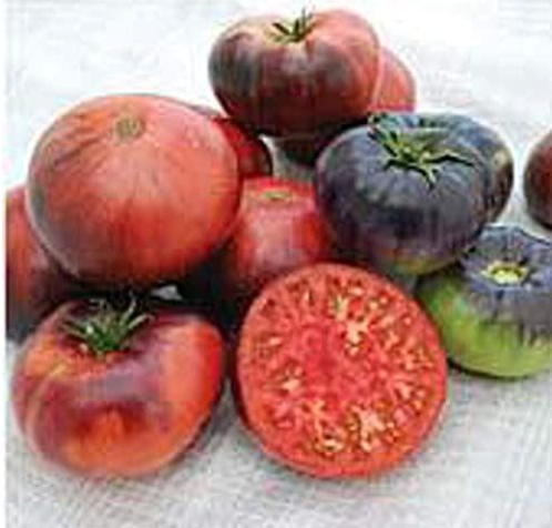 Indigo Blue Beauty Tomato Seeds Organic Heirloom Dark Purple Beefsteak Tomato