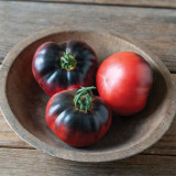 'Indigo Blue Beauty' Tomato Seeds | Solanum lycopersicum | Anthocyanin-Rich Blue Tomato