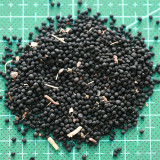 Mixed Color Grape Hyacinth Seeds - Muscari botryoides, Perennial Ground Cover for Landscaping