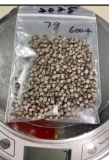 Fresh Vitex Agnus-Castus Seeds | Chasteberry Shrub Seeds for Medicinal & Garden Planting