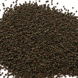 Red Flowered Rose Campion Seeds | Lychnis coronaria | Perennial Red Cut Flower