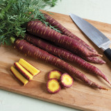 Purple Carrot F1 Seeds - Daucus carota sativus, Anthocyanin-Rich, Yellow Core Purple Root Vegetable
