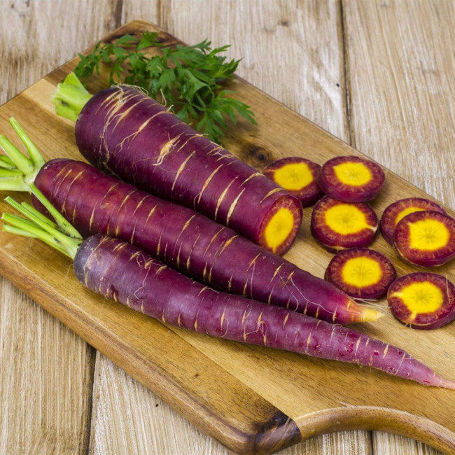 Purple Carrot F1 Seeds - Daucus carota sativus, Anthocyanin-Rich, Yellow Core Purple Root Vegetable