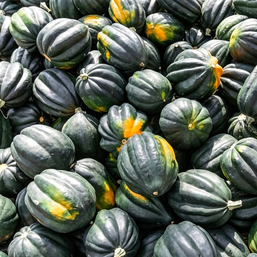 Acorn Squash Seeds - Cucurbita pepo, High Yielding Edible Seed Squash, Sweet Starchy Flesh, Ideal for Home Gardening