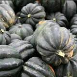 Acorn Squash Seeds - Cucurbita pepo, High Yielding Edible Seed Squash, Sweet Starchy Flesh, Ideal for Home Gardening