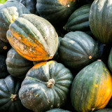 Acorn Squash Seeds - Cucurbita pepo, High Yielding Edible Seed Squash, Sweet Starchy Flesh, Ideal for Home Gardening