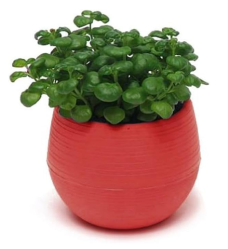 Cute Colorful Mini Plastic Plant Pot | Medium (7x7cm) Desktop & Garden Decor Planter