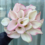 'Sweet Art' Calla Lily Bulbs | Zantedeschia hybrida | Pink Flower Bulb for Garden & Container Plant