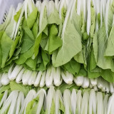 'Jiemei Golden Sweet' Bok Choy Seeds - Brassica rapa subsp. chinensis, Early Maturity, Heat and Humidity Tolerant