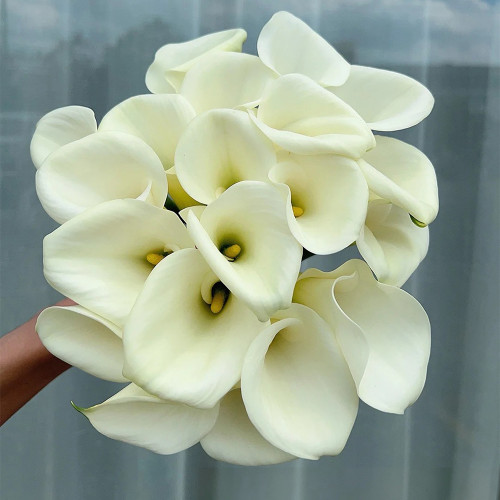 'White Art' Calla Lily Bulbs | Zantedeschia hybrida | Pure White Flower Bulb