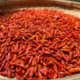 Bird's Eye Chili Seeds | Capsicum annuum | Myanmar Mini Super Hot Pepper