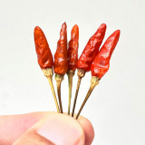 Bird's Eye Chili Seeds | Capsicum annuum | Myanmar Mini Super Hot Pepper