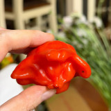Bishop's Hat Pepper Seeds | Capsicum baccatum | Decorative Edible Hot Pepper