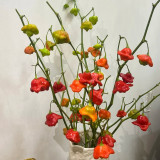 Bishop's Hat Pepper Seeds | Capsicum baccatum | Decorative Edible Hot Pepper