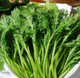 Garland Chrysanthemum Seeds | Glebionis coronaria | Shungiku Tong Ho Asian Edible Leafy Green