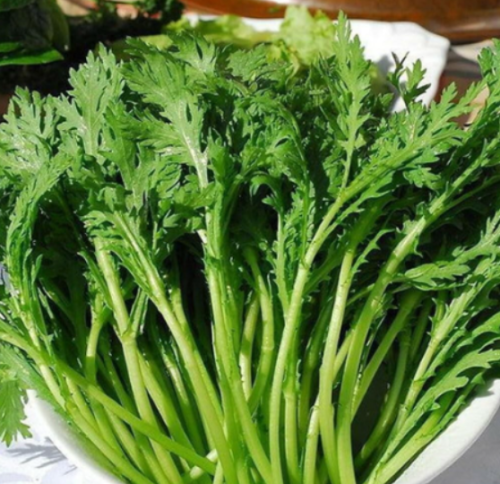 Garland Chrysanthemum Seeds | Glebionis coronaria | Shungiku Tong Ho Asian Edible Leafy Green
