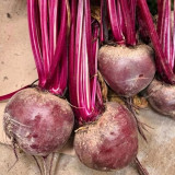 HC Purple Top Beet Seeds | Beta vulgaris | Nutritious Red Root Vegetable