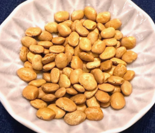 Tepary Bean Seeds | Phaseolus acutifolius | Ultra Drought Tolerant High Protein Heirloom Legume