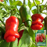 Red Peter Pepper Seeds | Capsicum annuum | Unique Novelty Shaped Edible Ornamental Chili