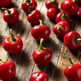 Red Hot Cherry Pepper Seeds | Capsicum annuum | Medium Heat Pickling Chili For Hot Sauce