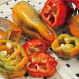 Rainbow Candy Sweet Pepper Seeds | Capsicum annuum | Zero Heat Striped Mini Snack Bell Pepper