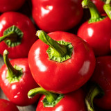 Red Hot Cherry Pepper Seeds | Capsicum annuum | Medium Heat Pickling Chili For Hot Sauce
