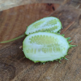 West Indian Gherkin Seeds | Cucumis anguria | Mini Prickly Cucumber For Pickling & Fresh Snack
