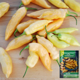 Sugar Peach Pepper Seeds | Capsicum chinense | Peach Apricot Fruity Aroma Medium Mild Pepper