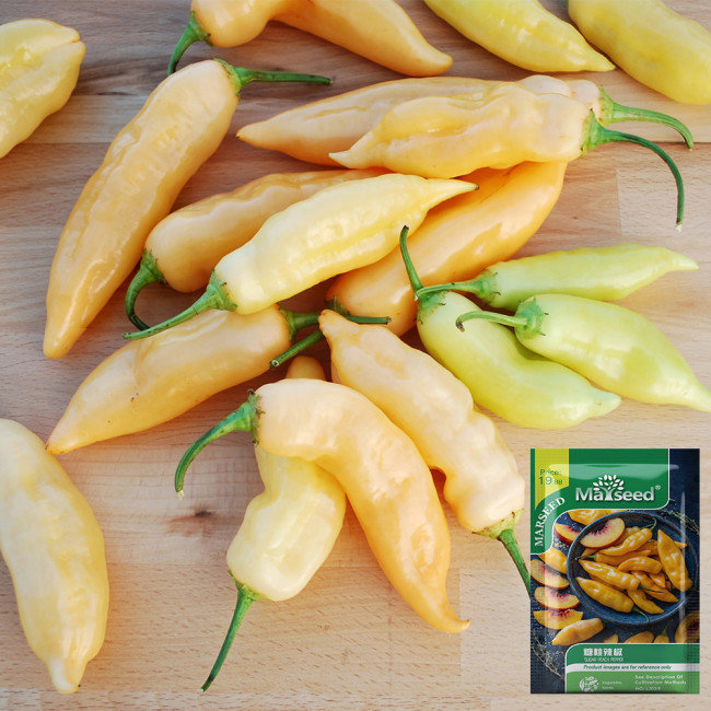 Sugar Peach Pepper Seeds | Capsicum chinense | Peach Apricot Fruity Aroma Medium Mild Pepper