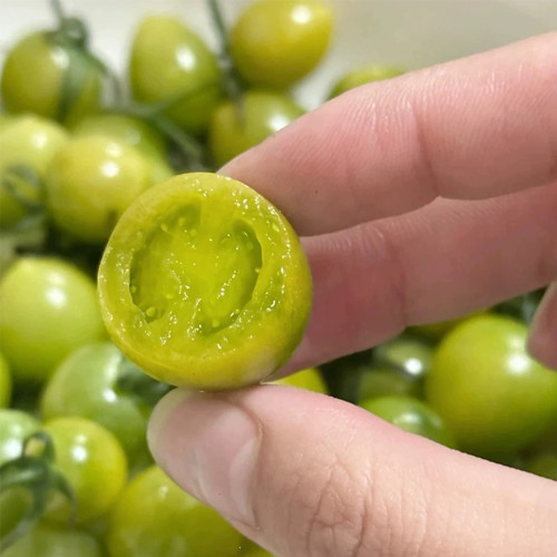 Dream Green Sweet No.2 Tomato Seeds F1 | Solanum lycopersicum | Emerald Green High Sugar Juicy Cherry Tomato