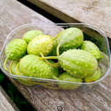 West Indian Gherkin Seeds | Cucumis anguria | Mini Prickly Cucumber For Pickling & Fresh Snack