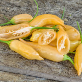 Sugar Peach Pepper Seeds | Capsicum chinense | Peach Apricot Fruity Aroma Medium Mild Pepper