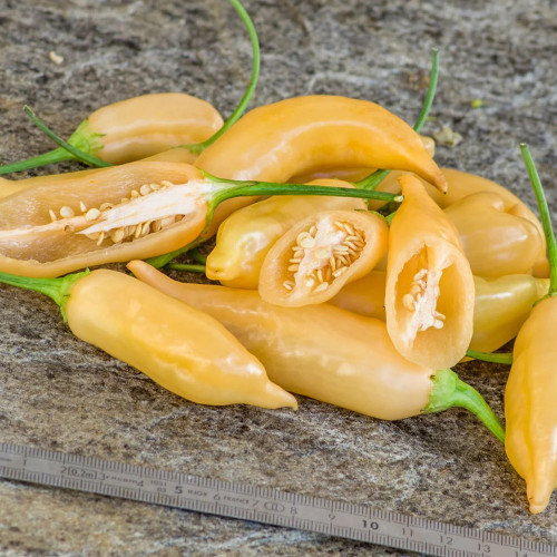 Sugar Peach Pepper Seeds | Capsicum chinense | Peach Apricot Fruity Aroma Medium Mild Pepper