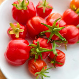 Accordion Cherry Tomato Seeds | Solanum lycopersicum | Unique Multi-Cluster Sweet Ribbed Cherry Tomato