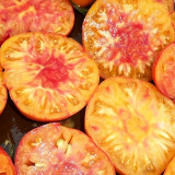 Hillbilly Potato Leaf Tomato Seeds | Solanum lycopersicum | Heirloom Bicolor Striped Beefsteak Sweet Low Acid Fruit