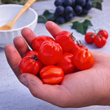 Accordion Cherry Tomato Seeds | Solanum lycopersicum | Unique Multi-Cluster Sweet Ribbed Cherry Tomato