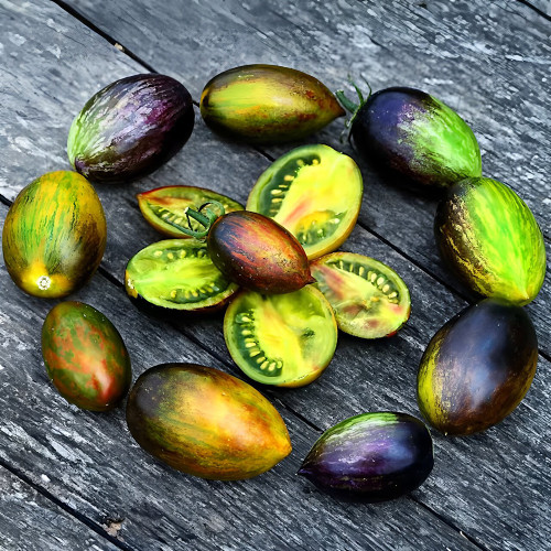 Atomic Fusion Tomato Seeds | Solanum lycopersicum | Brad Gates Multicolor Marble Plum Heirloom Slicing Tomato