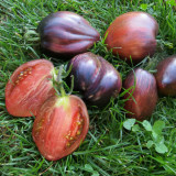 Cosmic Heart Rebel Space Warrior Tomato Seeds | Solanum lycopersicum | Dark Purple Galaxy Streak Heart-Shaped Heirloom Tomato