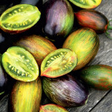 Atomic Fusion Tomato Seeds | Solanum lycopersicum | Brad Gates Multicolor Marble Plum Heirloom Slicing Tomato
